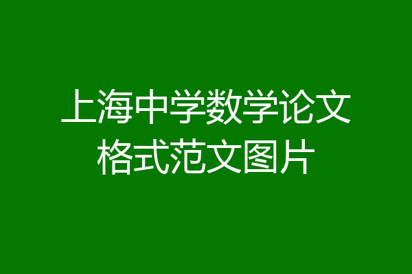 上海中学数学论文格式范文图片