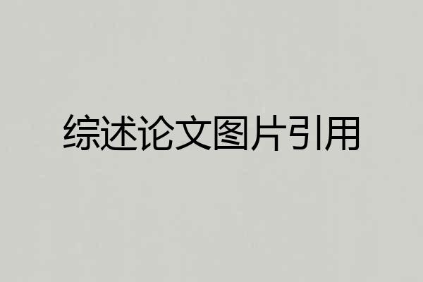 综述论文图片引用