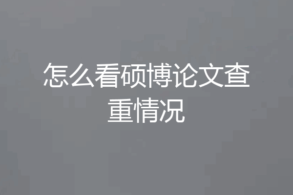 怎么看硕博论文查重情况