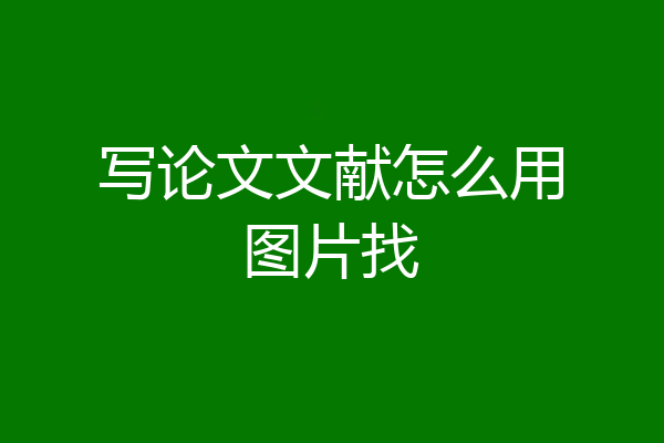 写论文文献怎么用图片找
