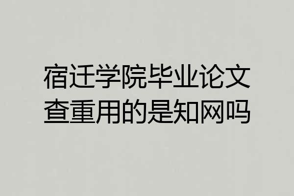 宿迁学院毕业论文查重用的是知网吗