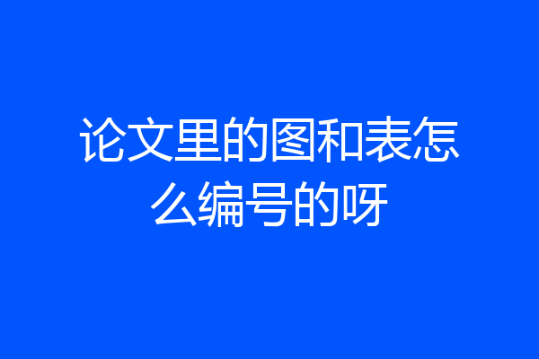 论文里的图和表怎么编号的呀