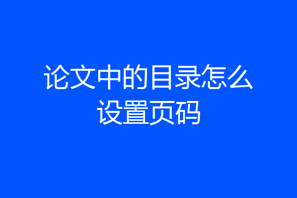 论文中的目录怎么设置页码