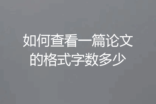 如何查看一篇论文的格式字数多少