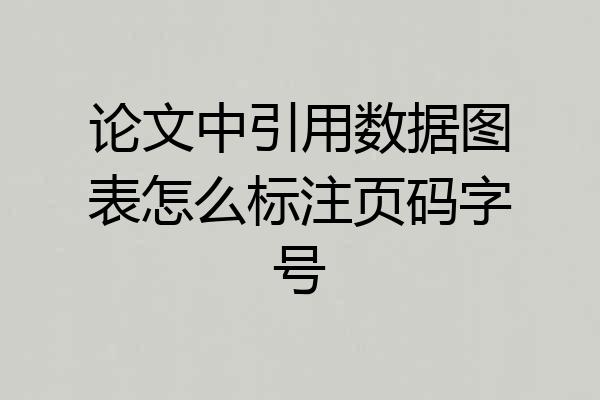 论文中引用数据图表怎么标注页码字号