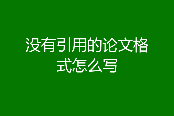 没有引用的论文格式怎么写