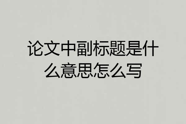 论文中副标题是什么意思怎么写