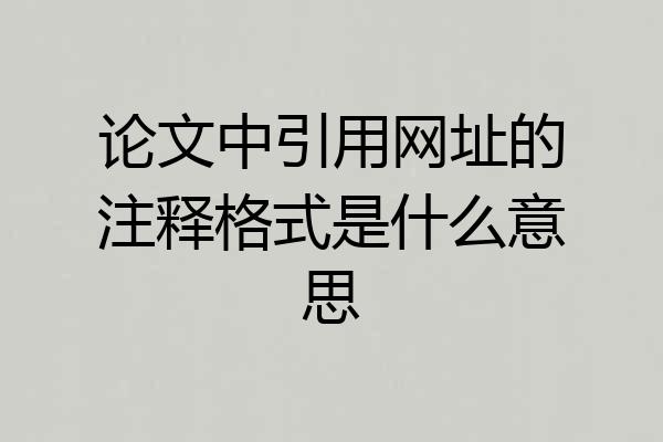 论文中引用网址的注释格式是什么意思