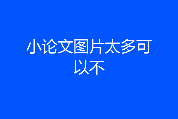小论文图片太多可以不