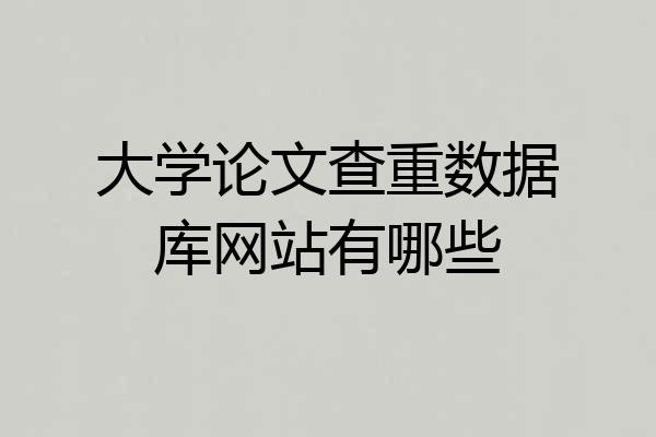 大学论文查重数据库网站有哪些
