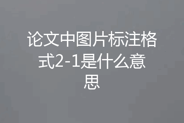 论文中图片标注格式2-1是什么意思