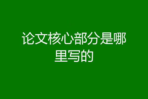 论文核心部分是哪里写的