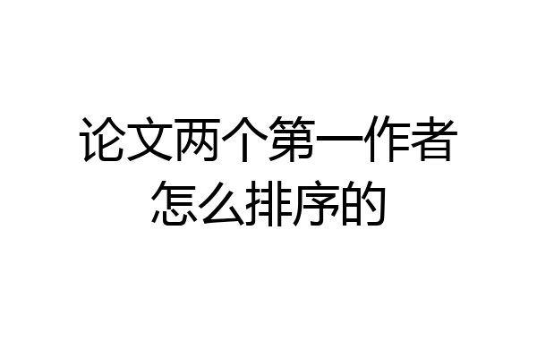 论文两个第一作者怎么排序的