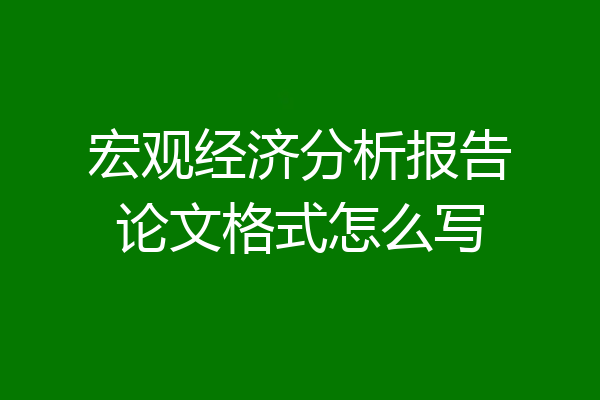 宏观经济分析报告论文格式怎么写