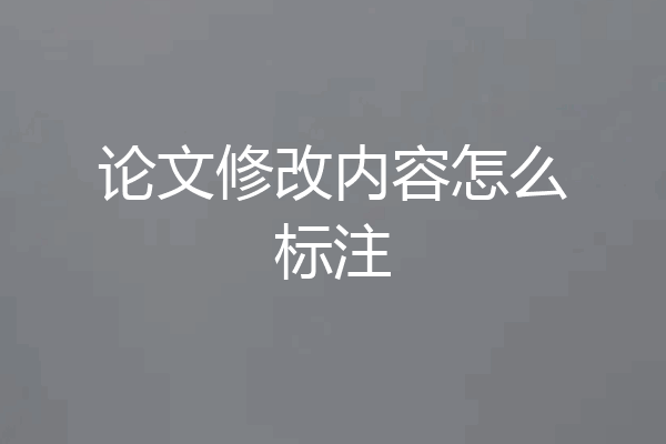 论文修改内容怎么标注