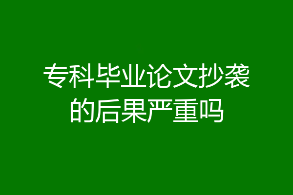 专科毕业论文抄袭的后果严重吗