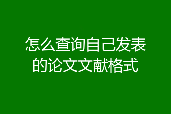 怎么查询自己发表的论文文献格式
