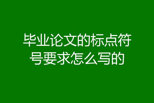 毕业论文的标点符号要求怎么写的