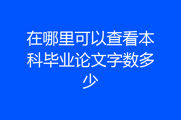 在哪里可以查看本科毕业论文字数多少