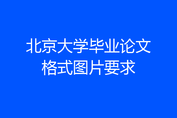 北京大学毕业论文格式图片要求