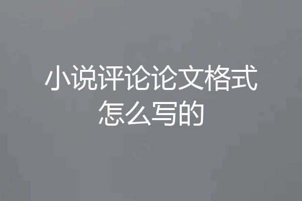 小说评论论文格式怎么写的