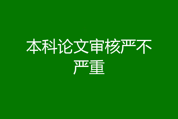本科论文审核严不严重
