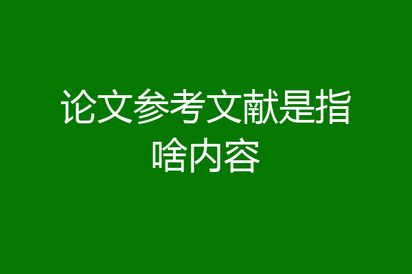 论文参考文献是指啥内容
