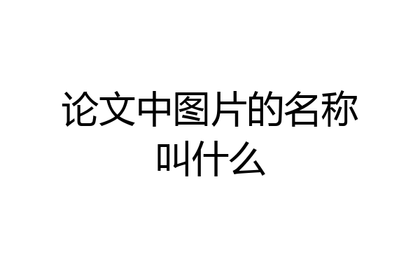 论文中图片的名称叫什么