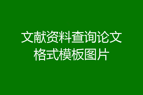 文献资料查询论文格式模板图片