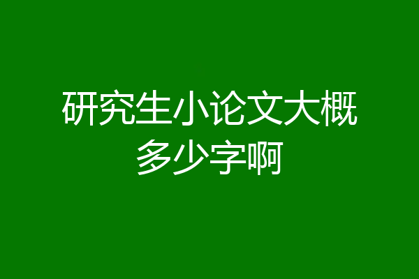 研究生小论文大概多少字啊