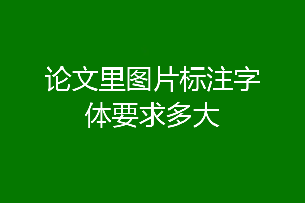 论文里图片标注字体要求多大