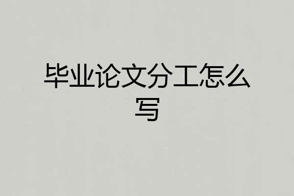 毕业论文分工怎么写