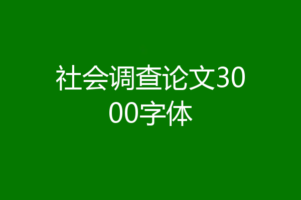 社会调查论文3000字体