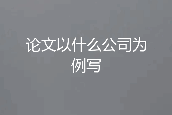 论文以什么公司为例写