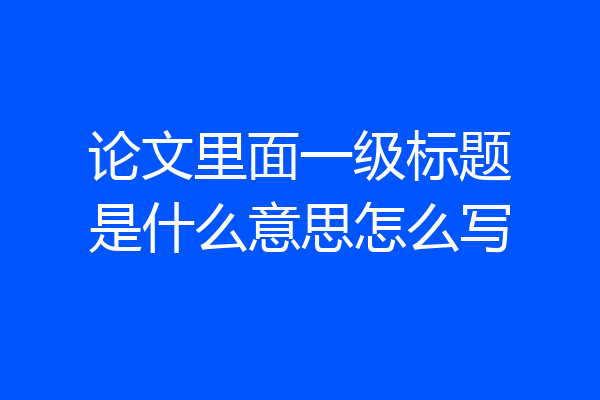 论文里面一级标题是什么意思怎么写