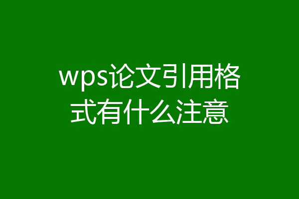 wps论文引用格式有什么注意