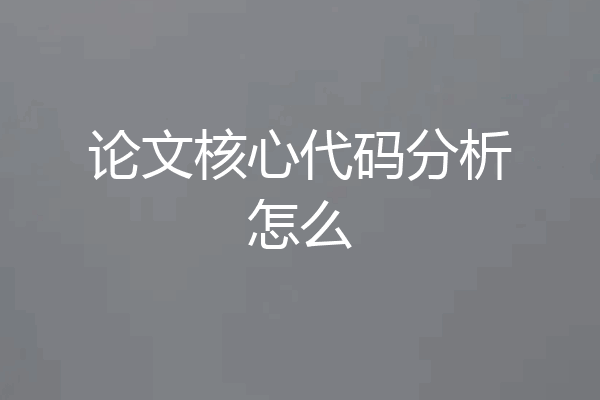 论文核心代码分析怎么