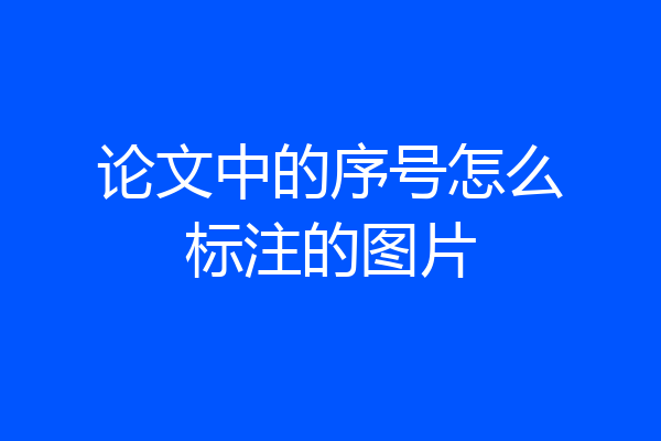 论文中的序号怎么标注的图片