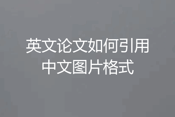 英文论文如何引用中文图片格式