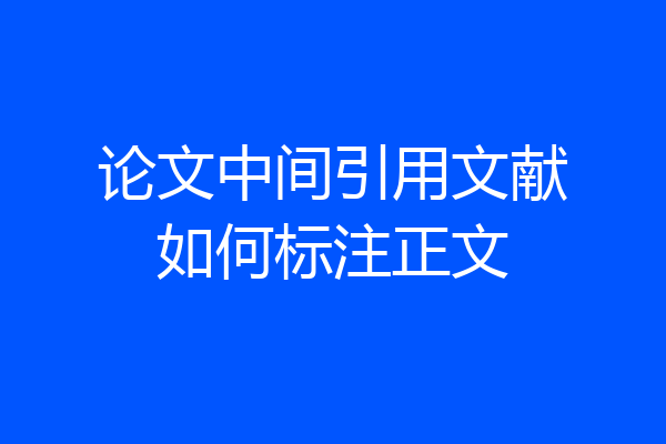 论文中间引用文献如何标注正文