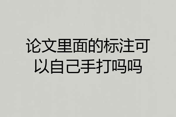 论文里面的标注可以自己手打吗吗
