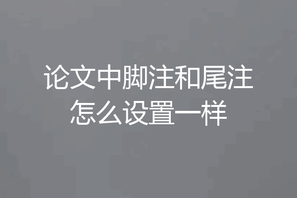 论文中脚注和尾注怎么设置一样