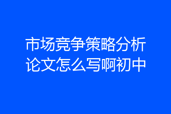 市场竞争策略分析论文怎么写啊初中