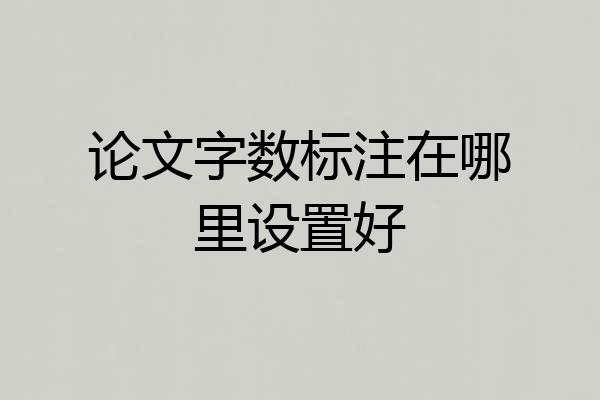 论文字数标注在哪里设置好