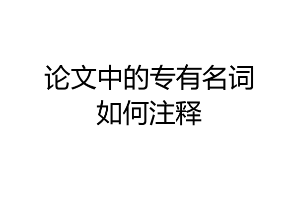 论文中的专有名词如何注释