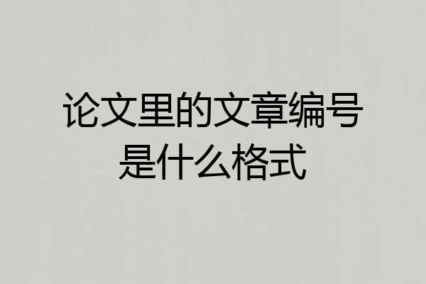 论文里的文章编号是什么格式