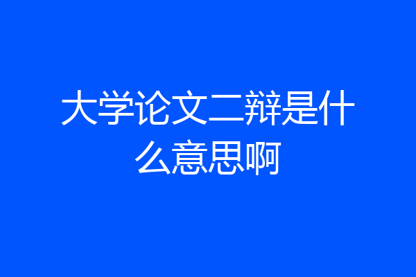 大学论文二辩是什么意思啊