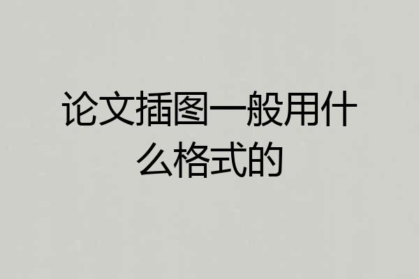 论文插图一般用什么格式的