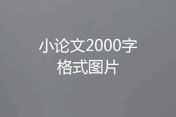 小论文2000字格式图片