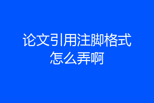 论文引用注脚格式怎么弄啊